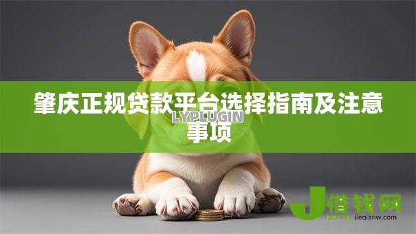 肇庆正规贷款平台选择指南及注意事项 肇庆正规贷款平台选择指南及注意事项