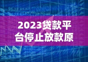 2023贷款平台停止放款原因及应对策略解析 2023贷款平台停止放款原因及应对策略解析