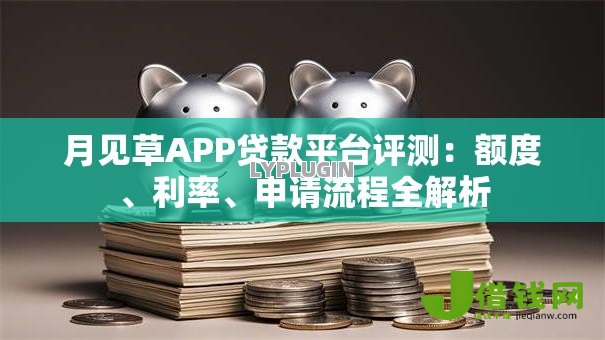 月见草APP贷款平台评测:额度、利率、申请流程全解析 月见草APP贷款平台评测:额度、利率、申请流程全解析