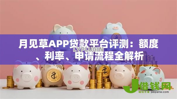 月见草APP贷款平台评测:额度、利率、申请流程全解析 月见草APP贷款平台评测:额度、利率、申请流程全解析