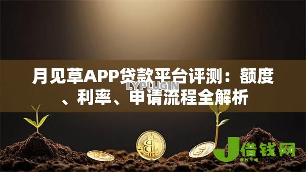 月见草APP贷款平台评测:额度、利率、申请流程全解析 月见草APP贷款平台评测:额度、利率、申请流程全解析