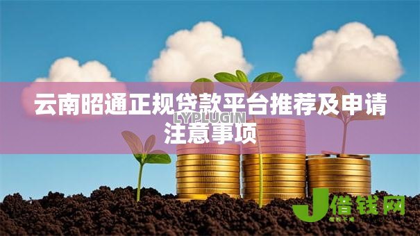 云南昭通正规贷款平台推荐及申请注意事项