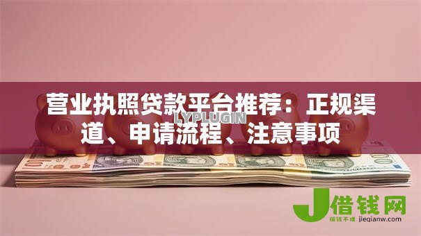营业执照贷款平台推荐：正规渠道、申请流程、注意事项