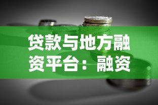 贷款与地方融资平台:融资渠道、政策影响及风险应对 贷款与地方融资平台:融资渠道、政策影响及风险应对