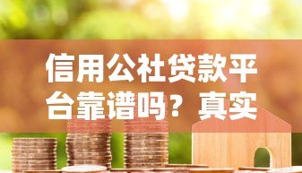 信用公社贷款平台靠谱吗？真实用户申请攻略解析