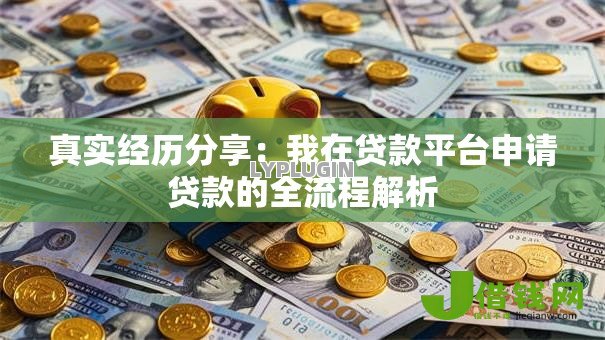 真实经历分享：我在贷款平台申请贷款的全流程解析