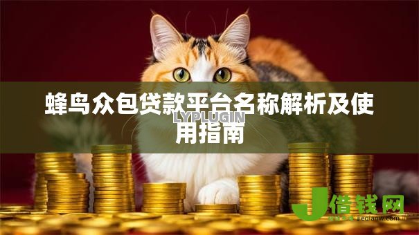 蜂鸟众包贷款平台名称解析及使用指南