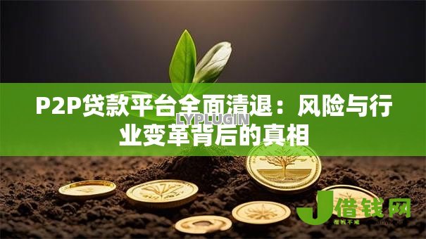 P2P贷款平台全面清退:风险与行业变革背后的真相 P2P贷款平台全面清退:风险与行业变革背后的真相