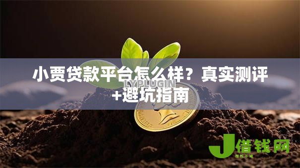 小贾贷款平台怎么样？真实测评+避坑指南
