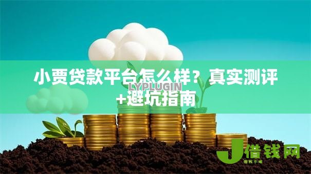 小贾贷款平台怎么样？真实测评+避坑指南