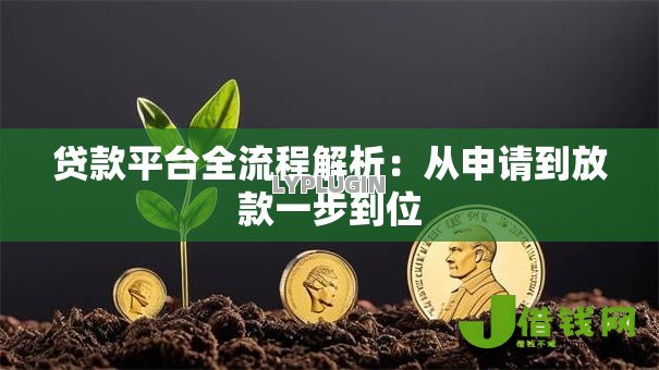 贷款平台全流程解析：从申请到放款一步到位