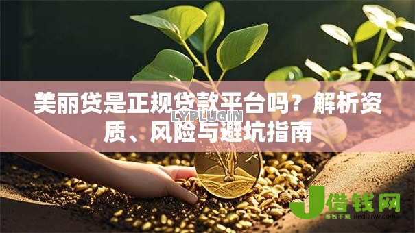 美丽贷是正规贷款平台吗？解析资质、风险与避坑指南