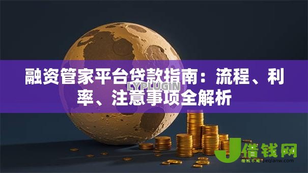 融资管家平台贷款指南：流程、利率、注意事项全解析