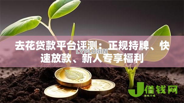 去花贷款平台评测:正规持牌、快速放款、新人专享福利 去花贷款平台评测:正规持牌、快速放款、新人专享福利