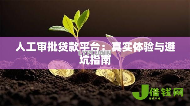 人工审批贷款平台：真实体验与避坑指南