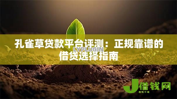 孔雀草贷款平台评测：正规靠谱的借贷选择指南
