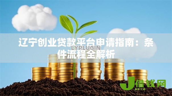 辽宁创业贷款平台申请指南：条件流程全解析