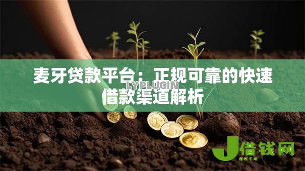 麦牙贷款平台：正规可靠的快速借款渠道解析