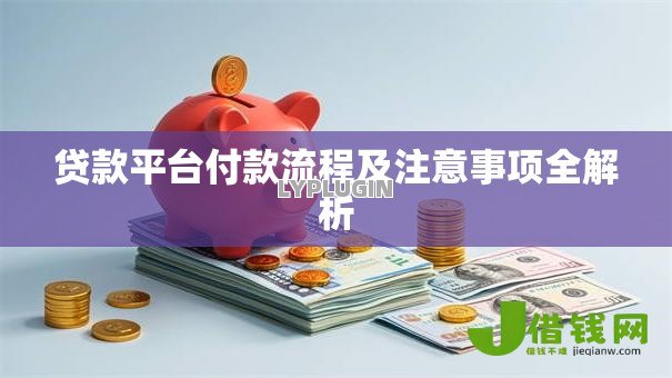 贷款平台付款流程及注意事项全解析