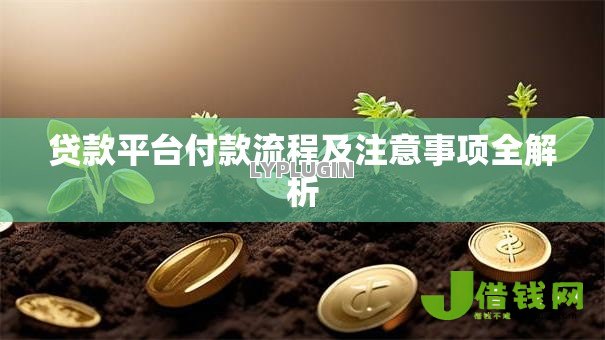 贷款平台付款流程及注意事项全解析