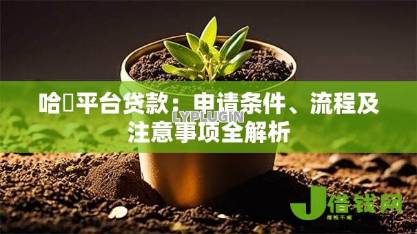 哈啰平台贷款:申请条件、流程及注意事项全解析 哈啰平台贷款:申请条件、流程及注意事项全解析