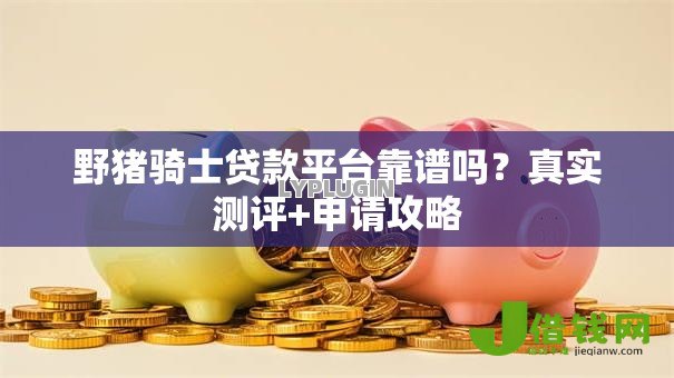 野猪骑士贷款平台靠谱吗？真实测评+申请攻略