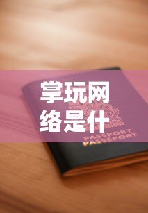 掌玩网络是什么贷款平台？正规资质、申请条件及用户评价全解析