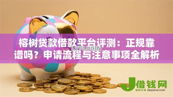 榕树贷款借款平台评测：正规靠谱吗？申请流程与注意事项全解析
