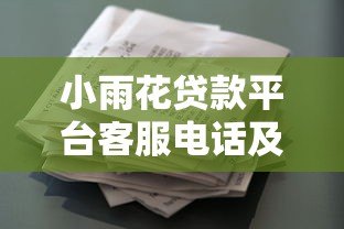 小雨花贷款平台客服电话及贷款申请全流程解析
