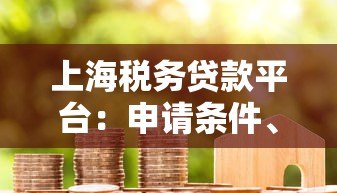 上海税务贷款平台：申请条件、流程及注意事项全解析