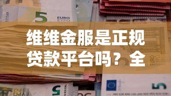 维维金服是正规贷款平台吗？全面解析其服务模式与资质