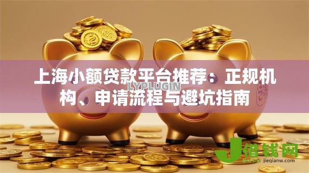 上海小额贷款平台推荐：正规机构、申请流程与避坑指南