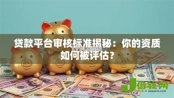 贷款平台审核标准揭秘：你的资质如何被评估？