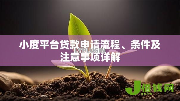 小度平台贷款申请流程、条件及注意事项详解 小度平台贷款申请流程、条件及注意事项详解
