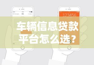 车辆信息贷款平台怎么选？申请流程与避坑指南