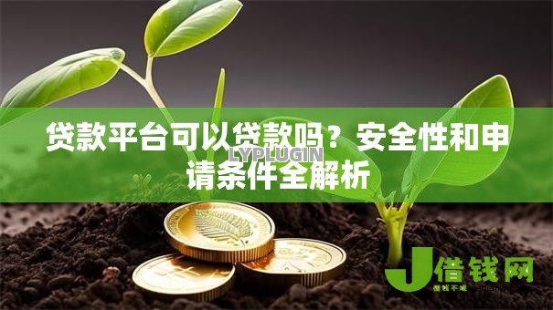 贷款平台可以贷款吗？安全性和申请条件全解析