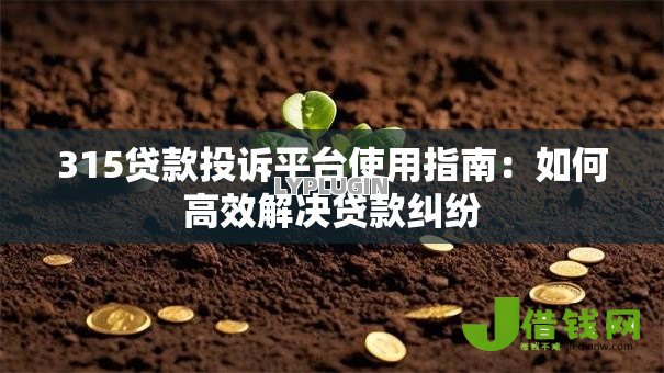 315贷款投诉平台使用指南：如何高效解决贷款纠纷