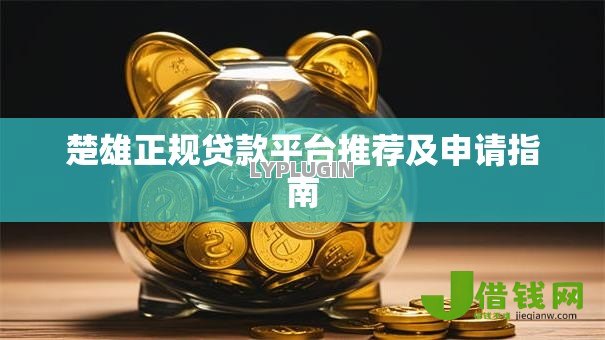 楚雄正规贷款平台推荐及申请指南 楚雄正规贷款平台推荐及申请指南