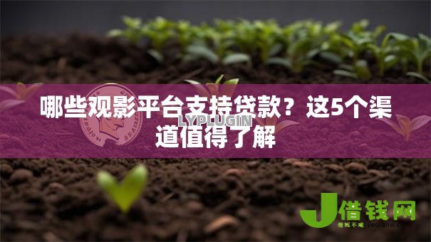 哪些观影平台支持贷款？这5个渠道值得了解