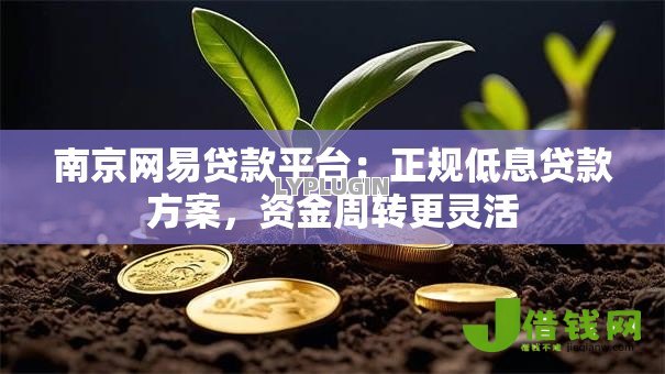南京网易贷款平台：正规低息贷款方案，资金周转更灵活
