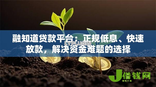 融知道贷款平台：正规低息、快速放款，解决资金难题的选择