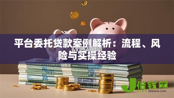 平台委托贷款案例解析:流程、风险与实操经验 平台委托贷款案例解析:流程、风险与实操经验