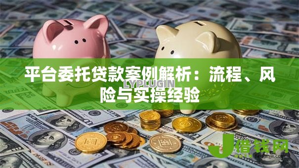 平台委托贷款案例解析:流程、风险与实操经验 平台委托贷款案例解析:流程、风险与实操经验