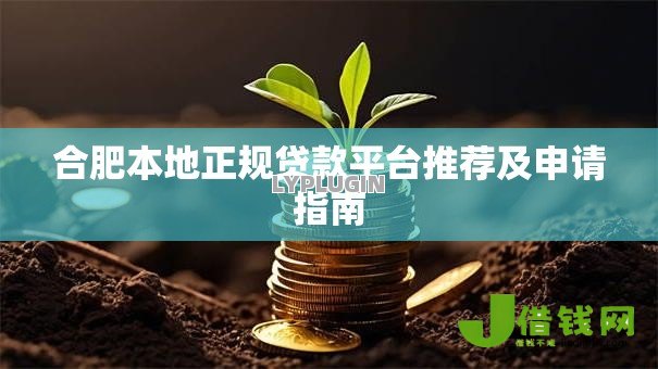 合肥本地正规贷款平台推荐及申请指南 合肥本地正规贷款平台推荐及申请指南