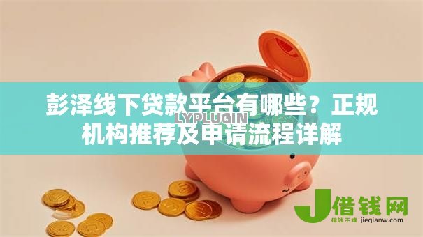 彭泽线下贷款平台有哪些？正规机构推荐及申请流程详解