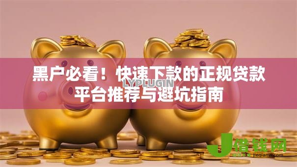 黑户必看！快速下款的正规贷款平台推荐与避坑指南