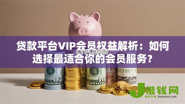 贷款平台VIP会员权益解析：如何选择最适合你的会员服务？