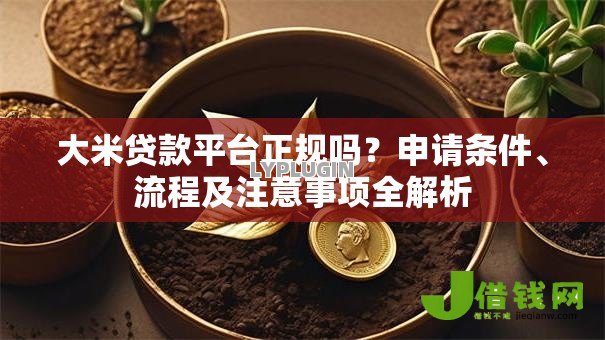 大米贷款平台正规吗?申请条件、流程及注意事项全解析 大米贷款平台正规吗?申请条件、流程及注意事项全解析