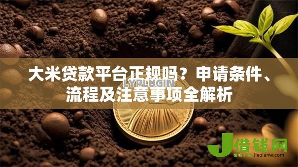 大米贷款平台正规吗?申请条件、流程及注意事项全解析 大米贷款平台正规吗?申请条件、流程及注意事项全解析