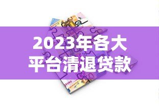 2023年各大平台清退贷款政策解读及借款人应对策略
